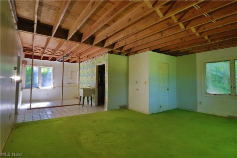 40 Wintergreen Hill Drive Painesville OH 44077
