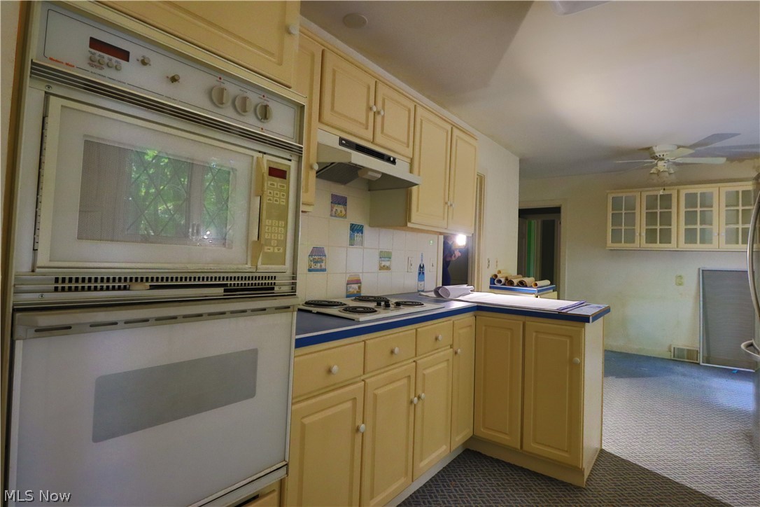 40 Wintergreen Hill Drive Painesville OH 44077