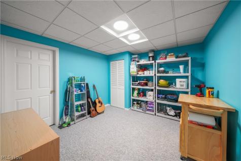 1781 Parker Lane Twinsburg OH 44087