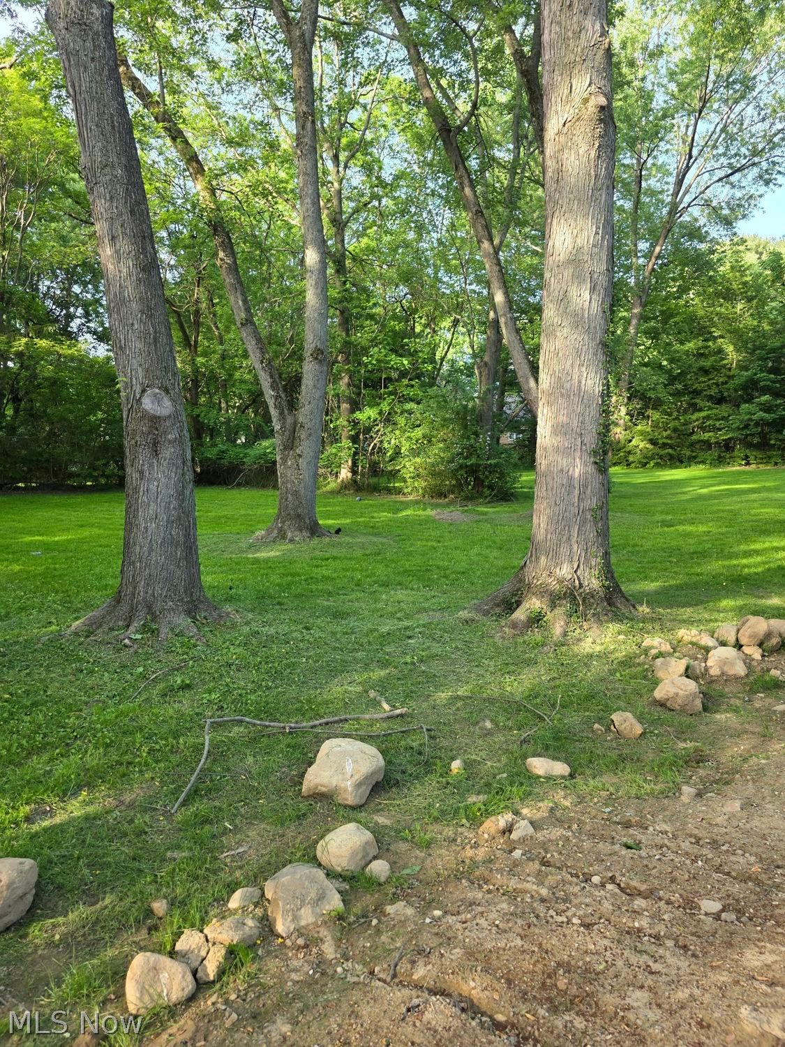 709 Berkeley Street Kent OH 44240