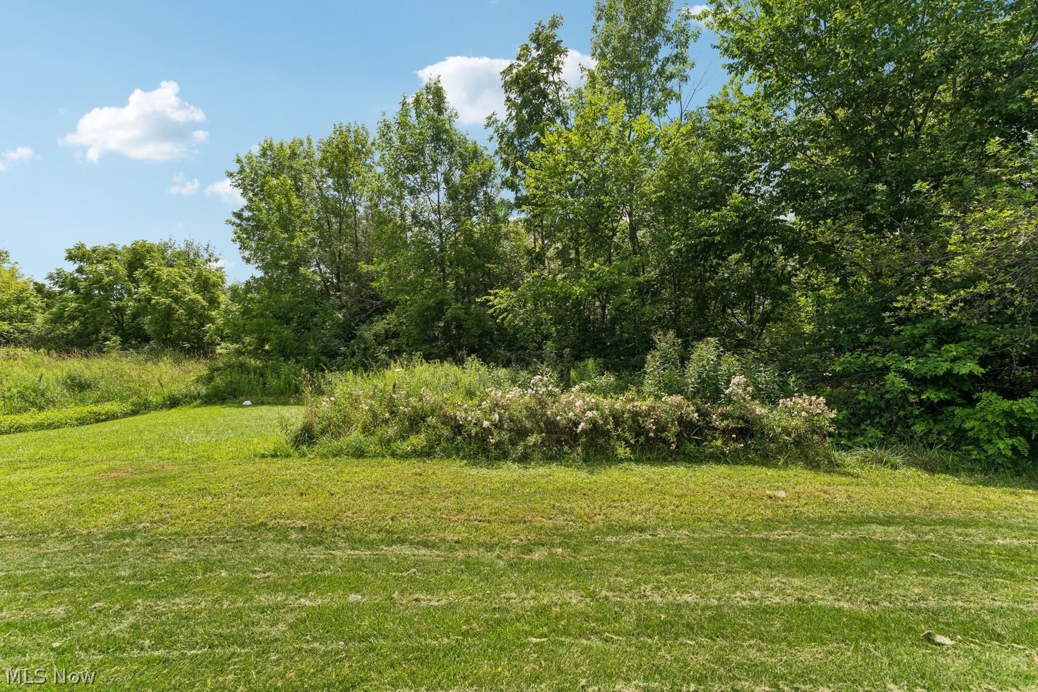 4880 Mandarin Drive Seville OH 44273