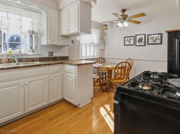 496 Judith Lane Struthers OH 44471