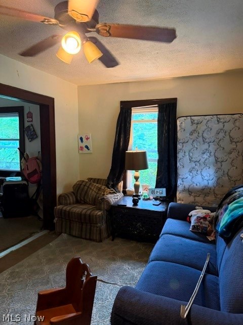 520 Parks Drive Norton OH 44203