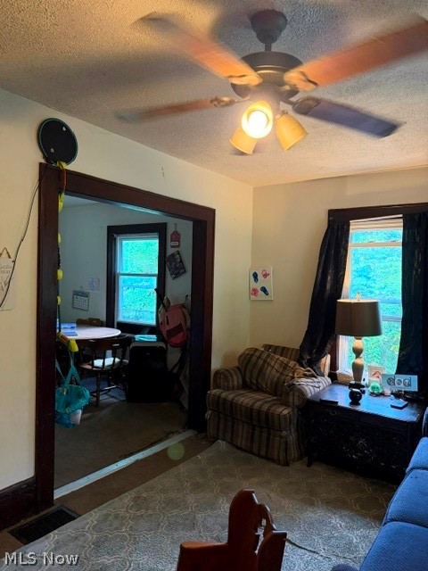 520 Parks Drive Norton OH 44203