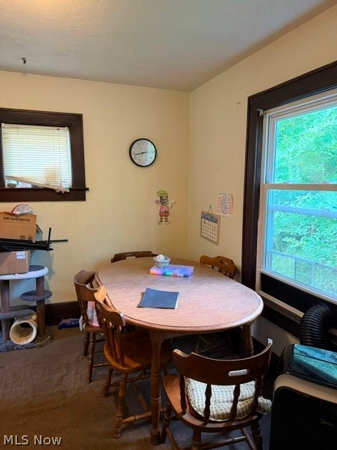 520 Parks Drive Norton OH 44203