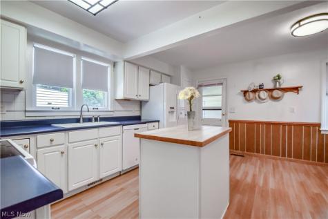7347 Case Avenue Mentor OH 44060