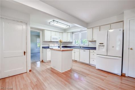 7347 Case Avenue Mentor OH 44060