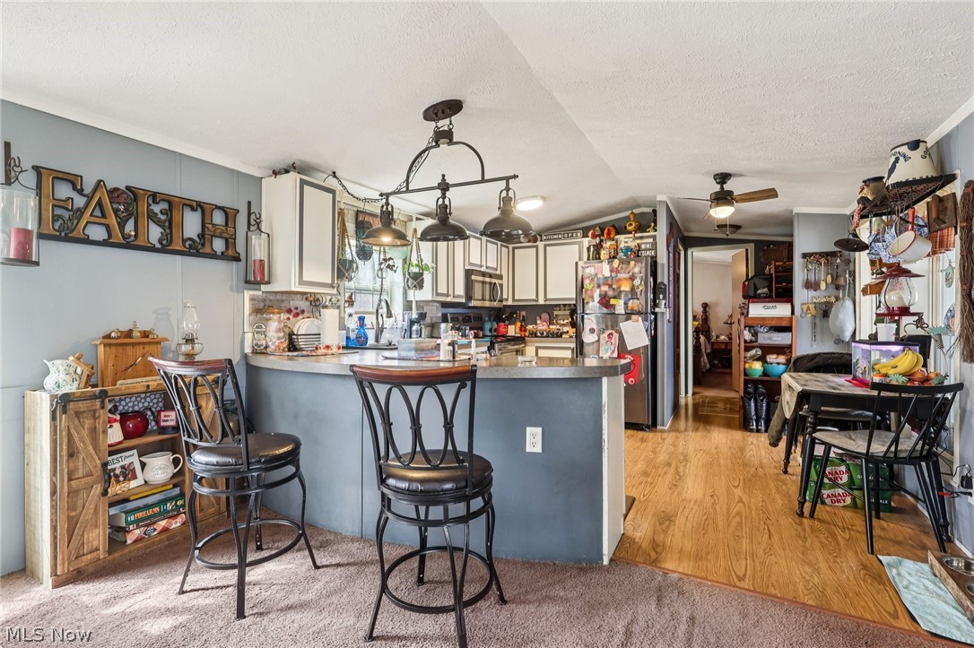 188 Paradise Boulevard Madison OH 44057
