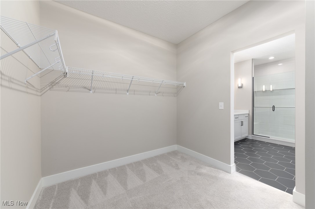 10161 Brookhaven Lane Brecksville OH 44141