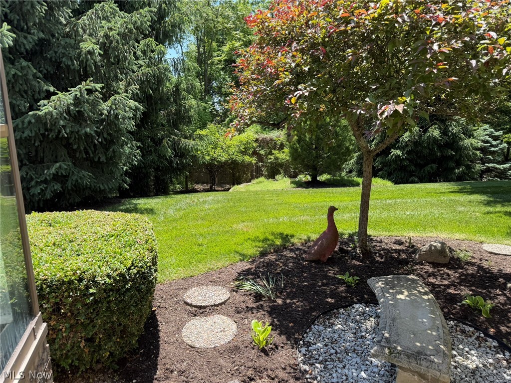 946 Douglas Drive Wooster OH 44691