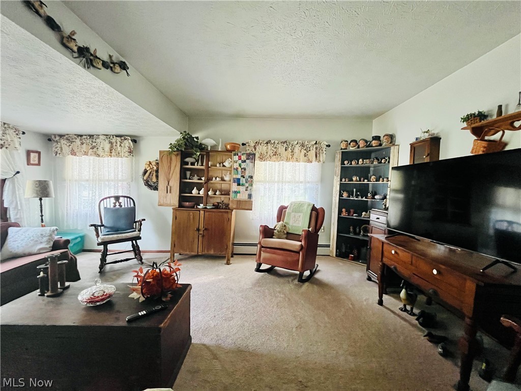 1492 Park Avenue Madison OH 44057