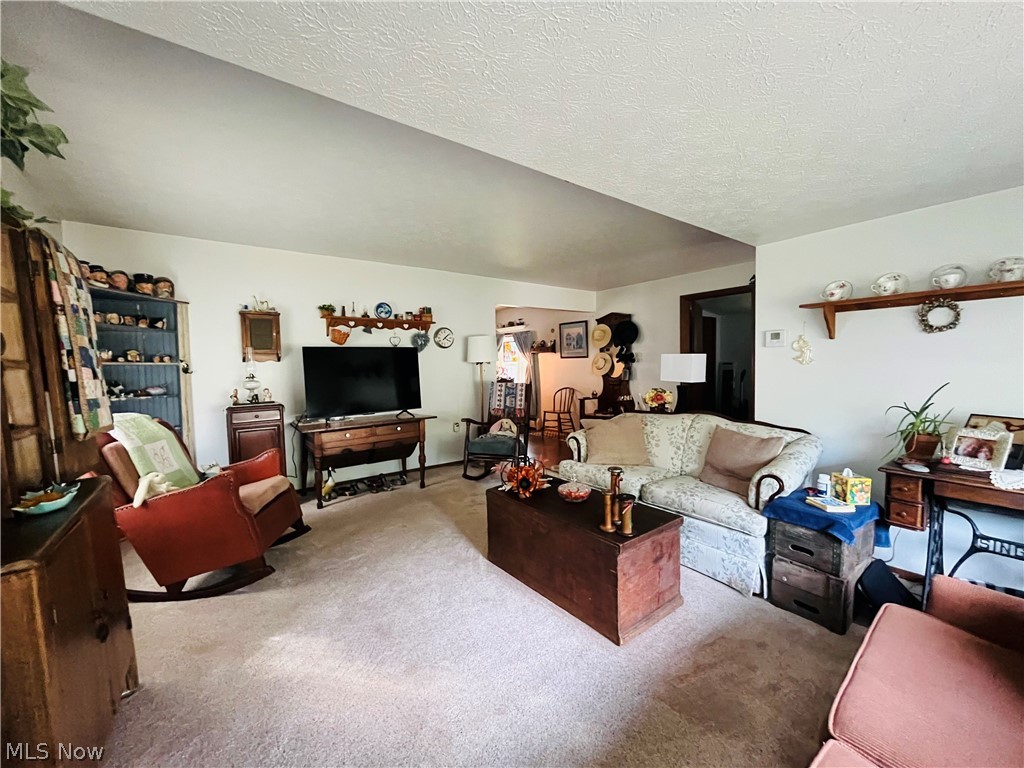 1492 Park Avenue Madison OH 44057