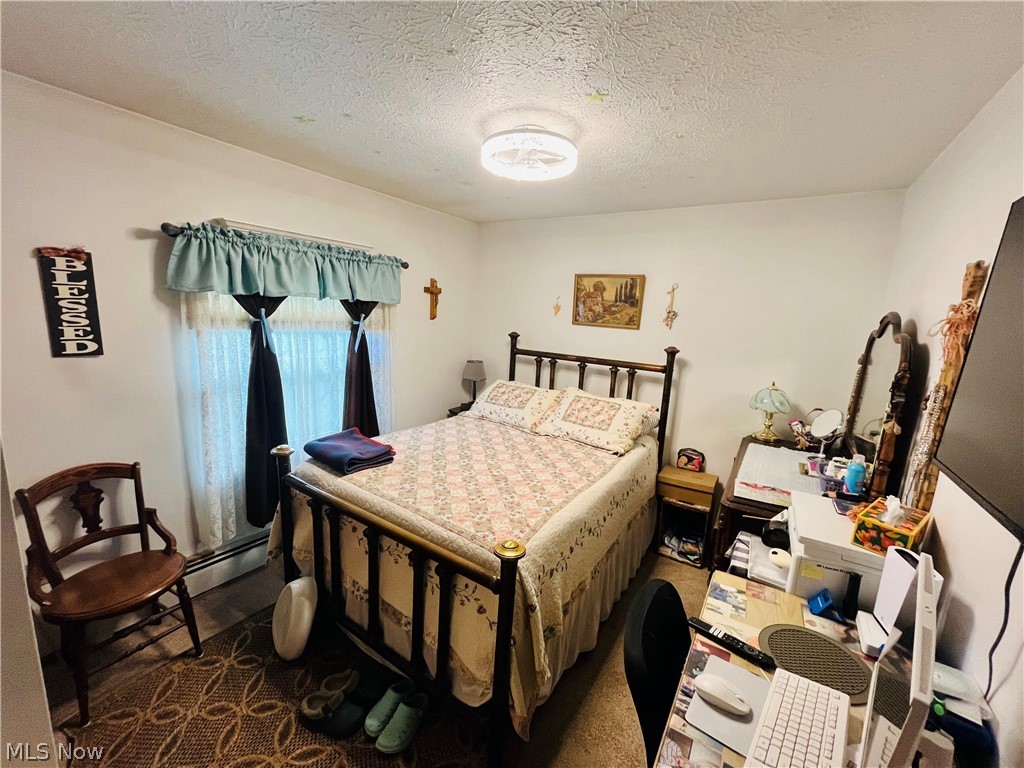 1492 Park Avenue Madison OH 44057