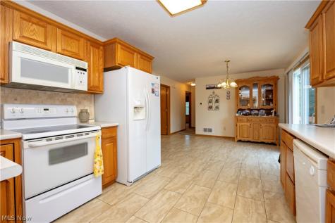 3924 Dornoch Drive Wooster OH 44691
