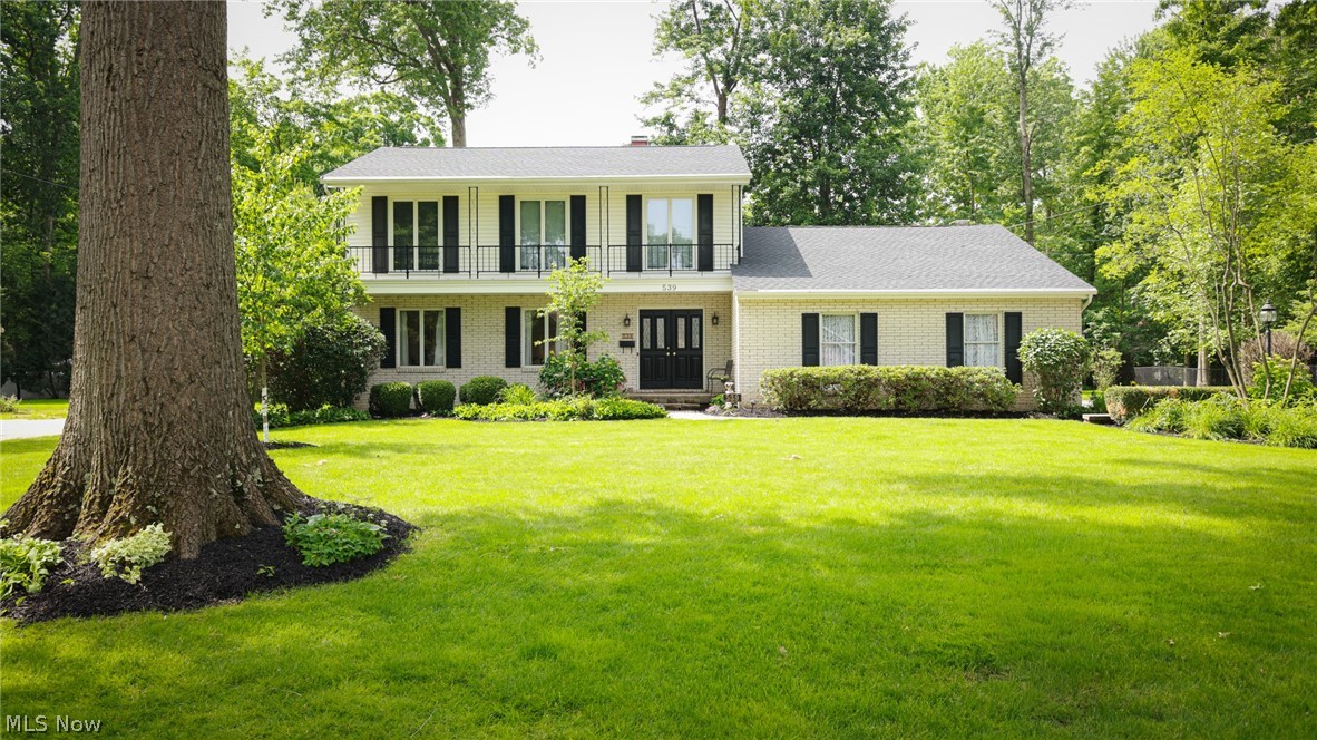 539 Hickory Hollow Drive Canfield OH 44406