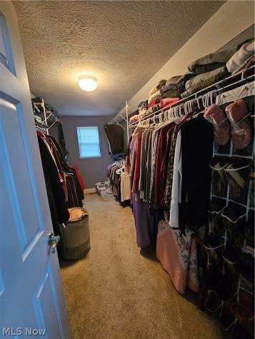 1489 Springwood Drive Wooster OH 44691