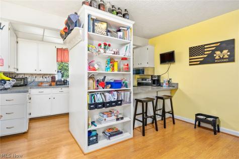 323 Seville Road Wadsworth OH 44281