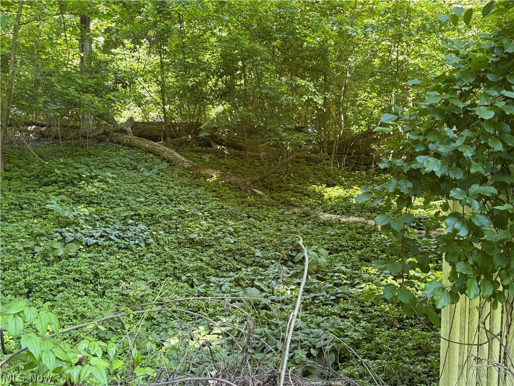 8094 Rolling Brook Road Northfield OH 44067