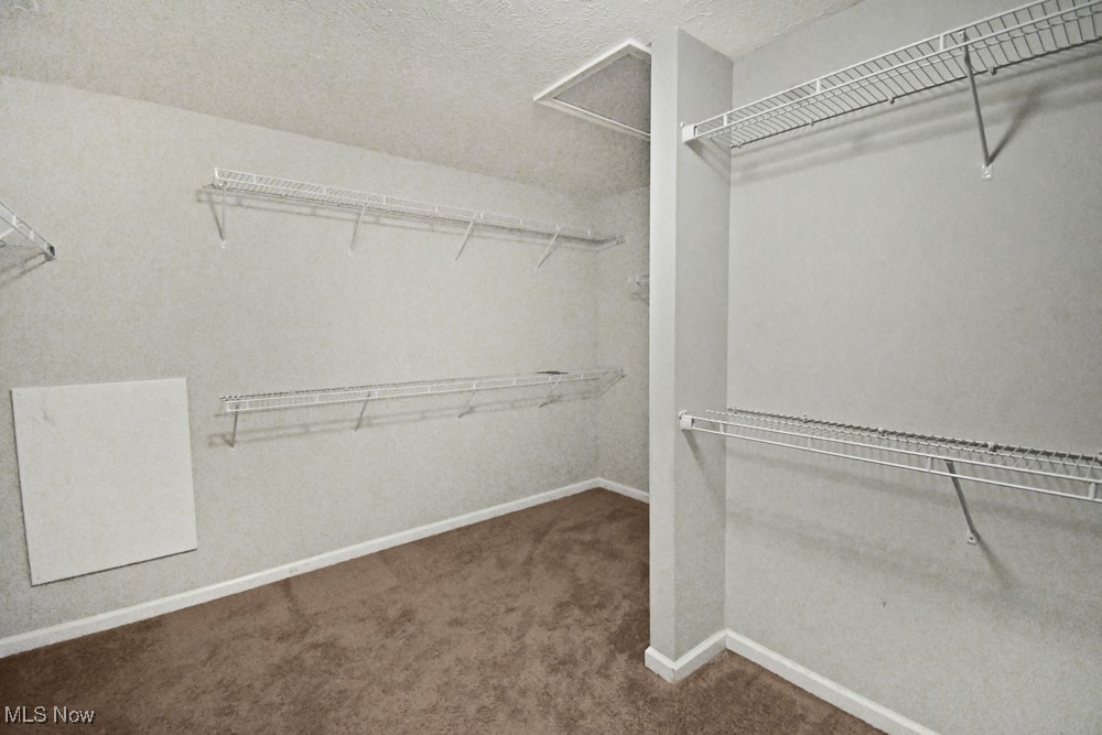 11329 Alexa Drive Painesville OH 44077