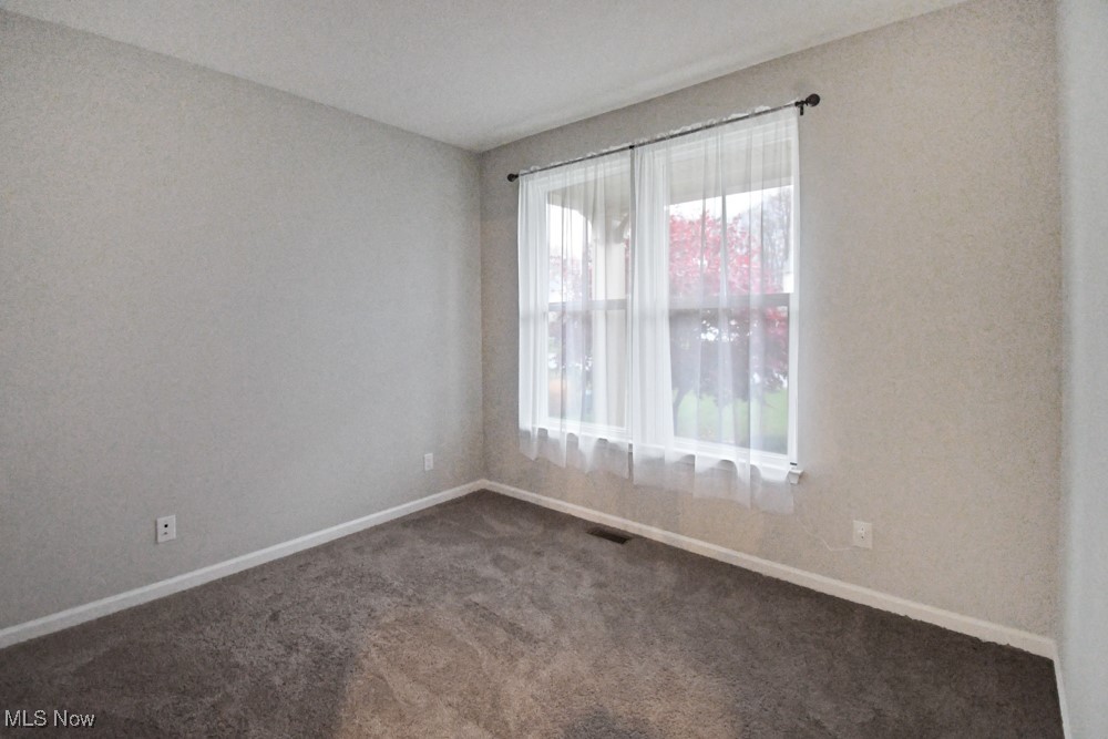 11329 Alexa Drive Painesville OH 44077