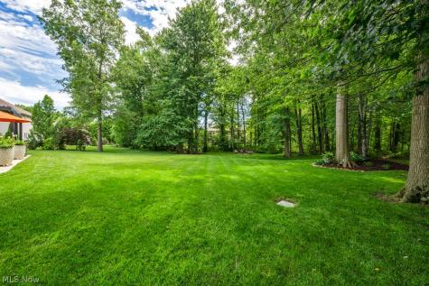 31865 Woodbridge Way Avon Lake OH 44012