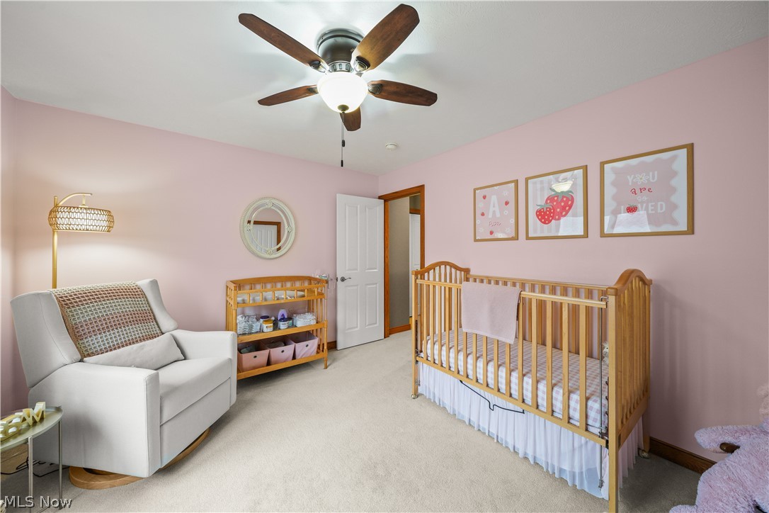 953 Outrigger Cove Painesville OH 44077