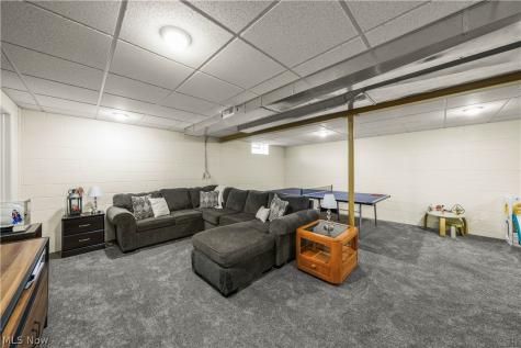 953 Outrigger Cove Painesville OH 44077