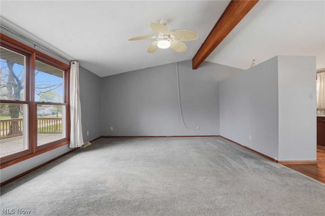 164 Bridge Street Conneaut OH 44030