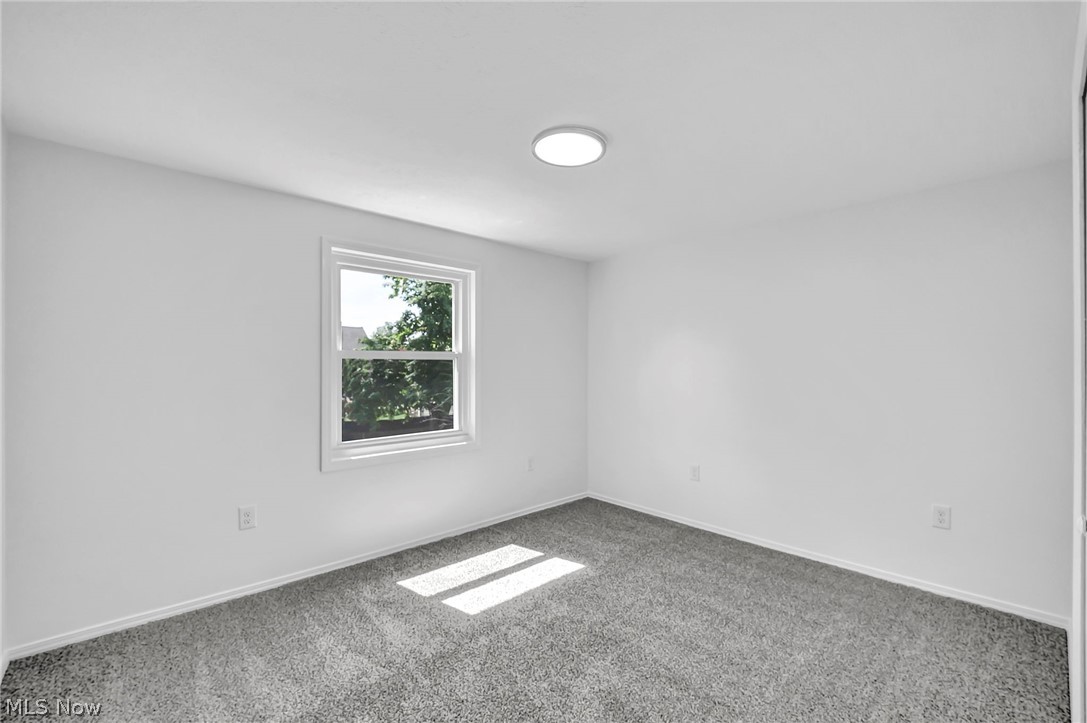 30082 Dorothy Drive Wickliffe OH 44092