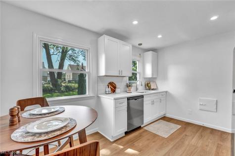 30082 Dorothy Drive Wickliffe OH 44092
