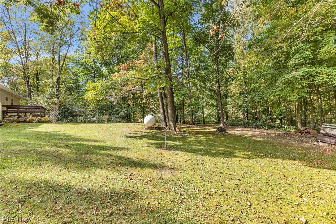 7011 Township Road 29 Mansfield OH 44904