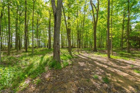9416 State Route 60 Wakeman OH 44889