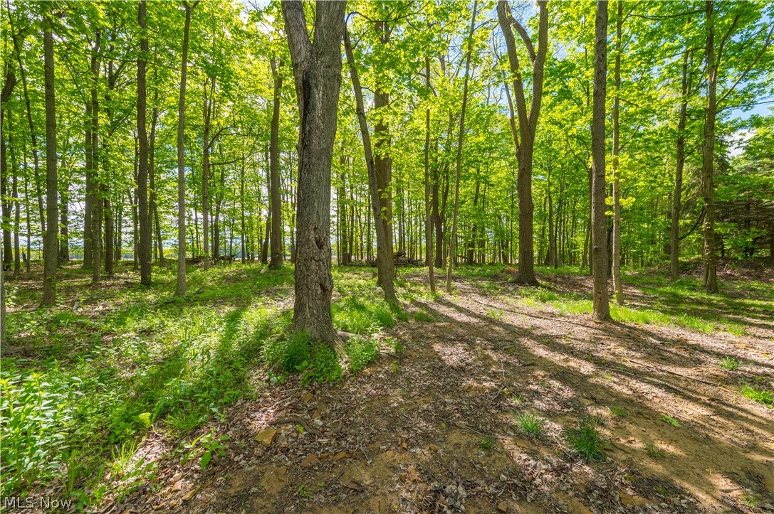 9416 State Route 60 Wakeman OH 44889