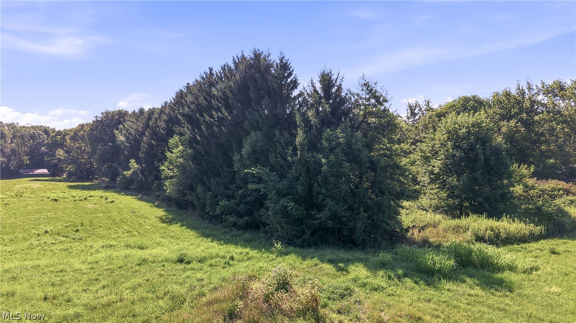 37933 Longs Crossing Road Leetonia OH 44431