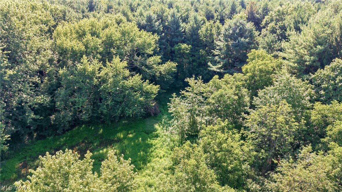 37933 Longs Crossing Road Leetonia OH 44431