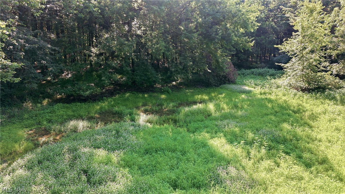 37933 Longs Crossing Road Leetonia OH 44431