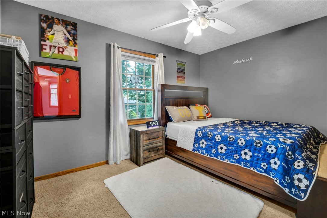 2524 Mallory Lane Stow OH 44224