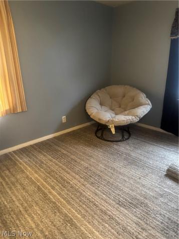 12701 Milligan Cleveland OH 44135