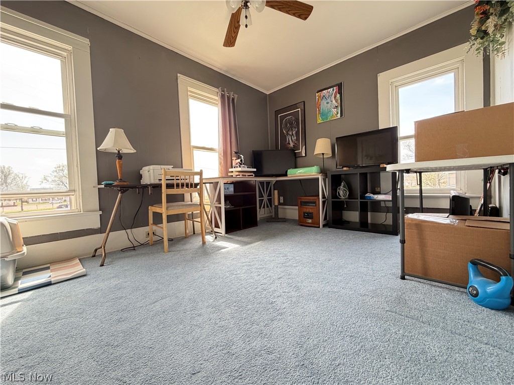 103 W Shafer Avenue Dover OH 44622