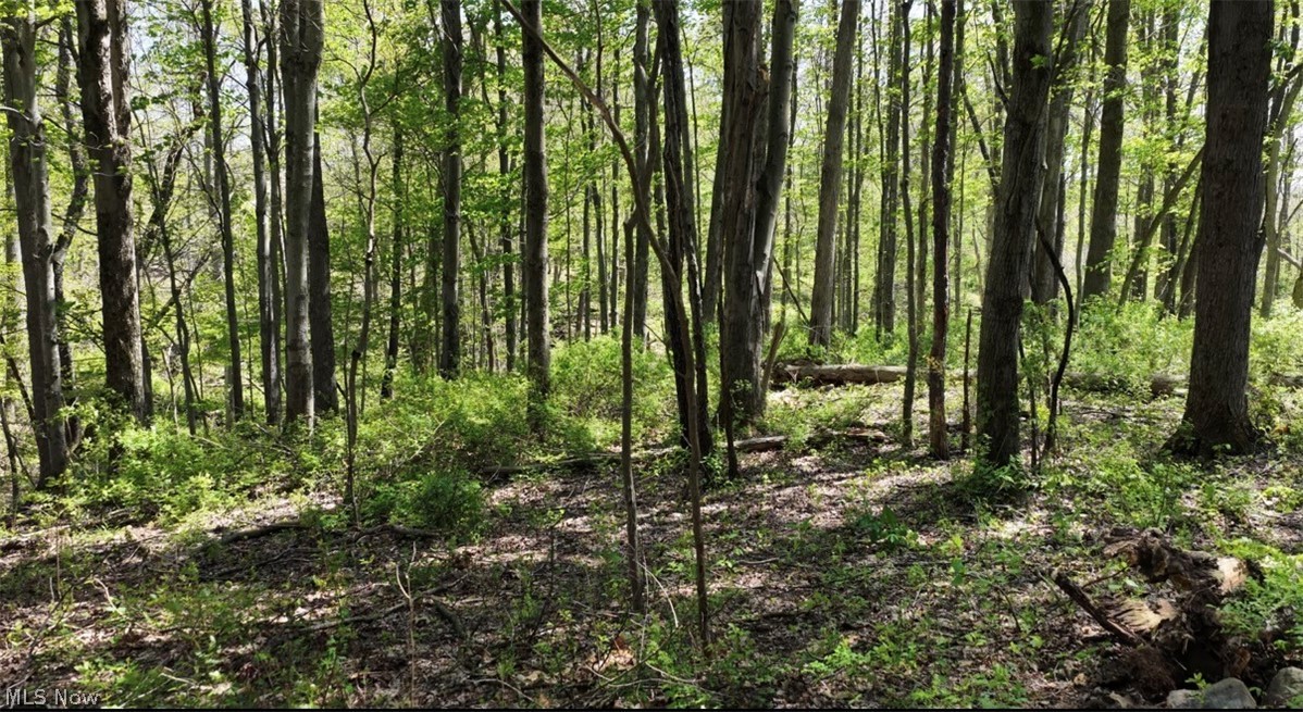 1166 County Road 2075 Ashland OH 44805