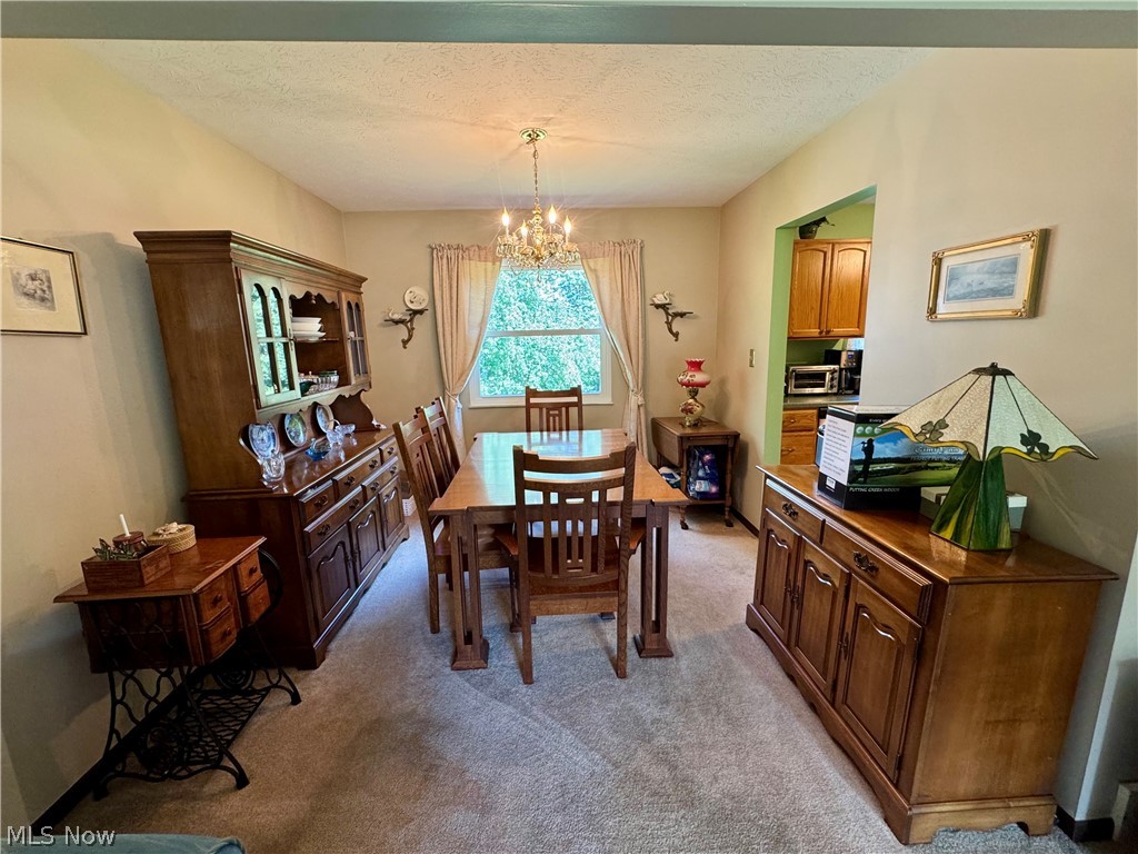 8893 White Oak Drive Twinsburg OH 44087