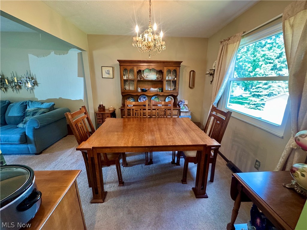 8893 White Oak Drive Twinsburg OH 44087