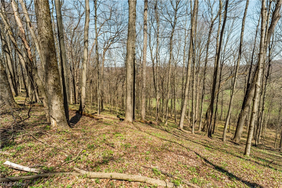 31370 Cadiz Dennison Road Uhrichsville OH 44683