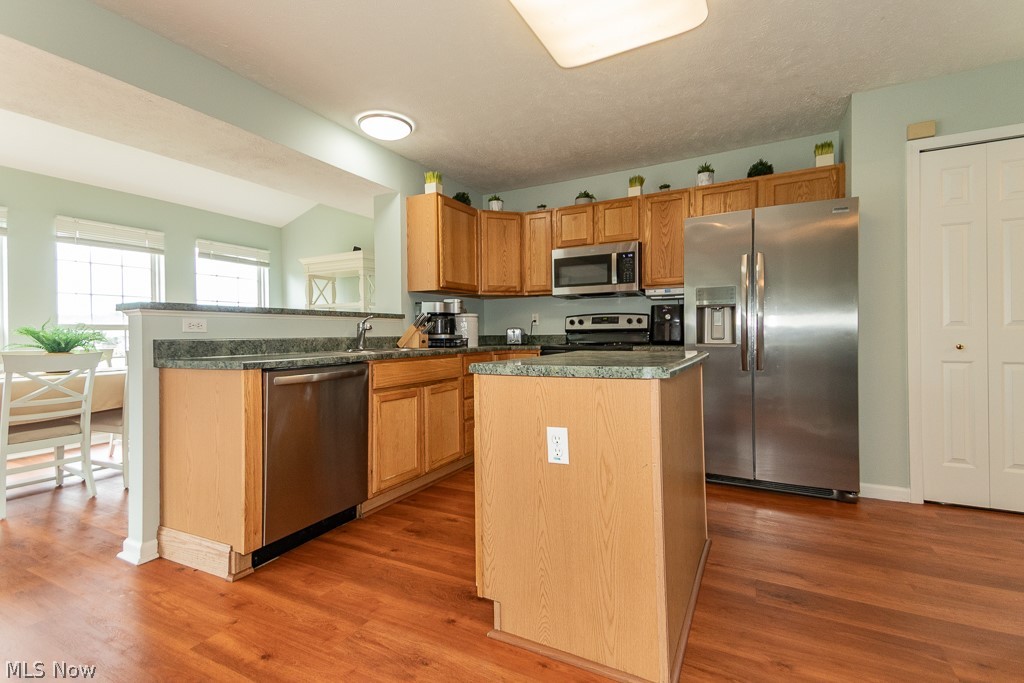 526 Deerwood Court Painesville OH 44077