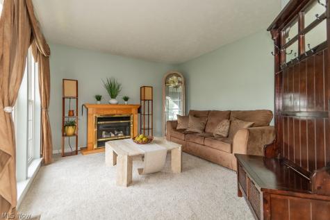 526 Deerwood Court Painesville OH 44077