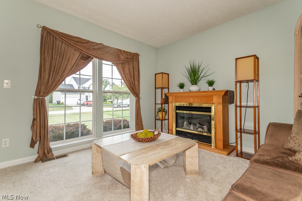 526 Deerwood Court Painesville OH 44077