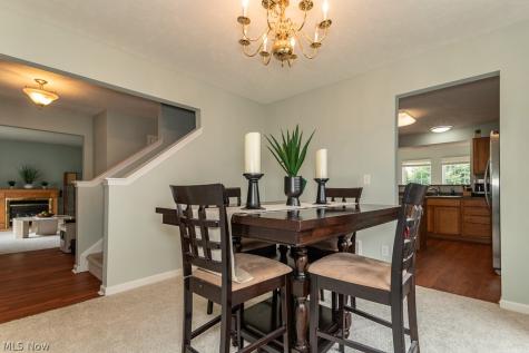 526 Deerwood Court Painesville OH 44077