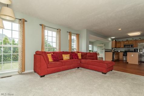 526 Deerwood Court Painesville OH 44077