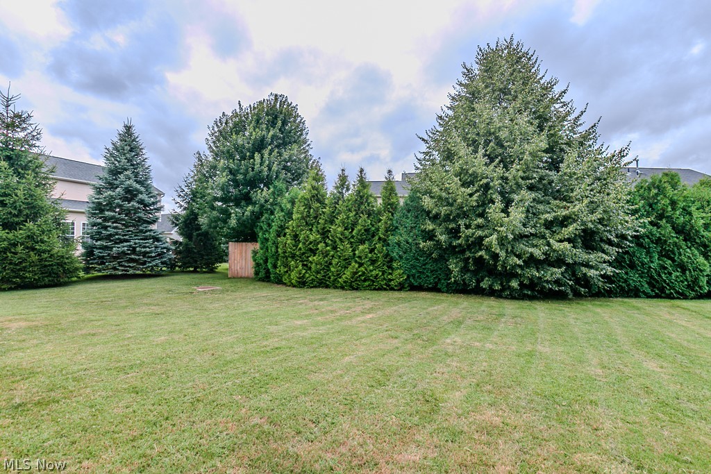526 Deerwood Court Painesville OH 44077