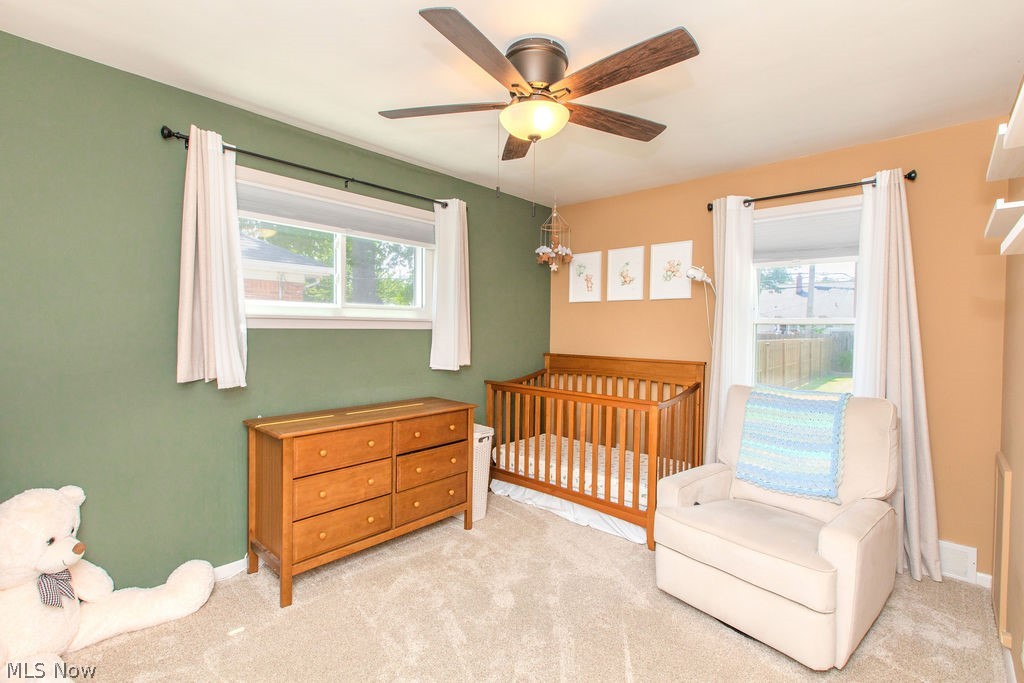 2322 Larchmont Drive Wickliffe OH 44092